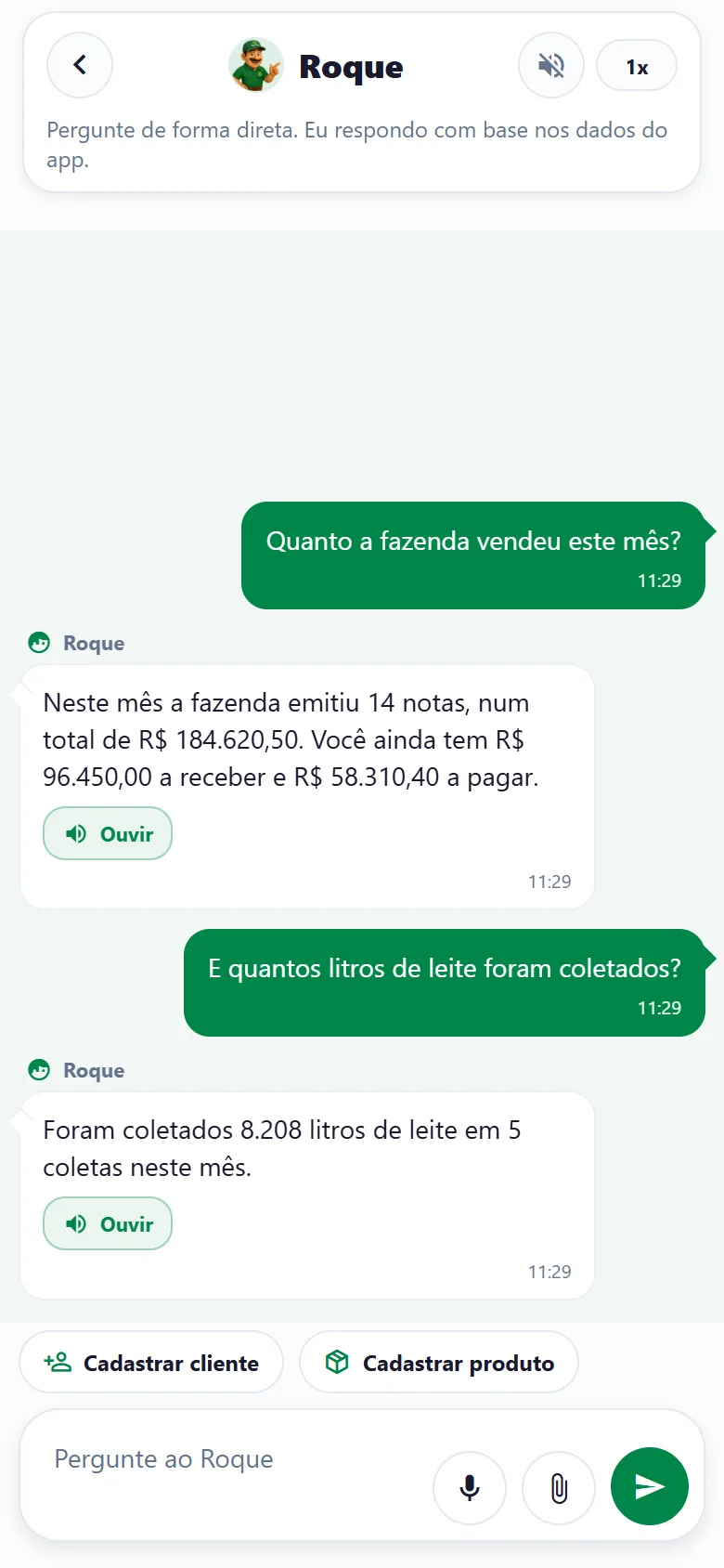Conversa com o Roque no aplicativo